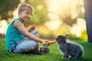 progetto empatia bambini scuola media